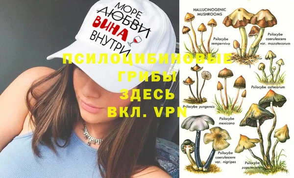 дурь Алексин