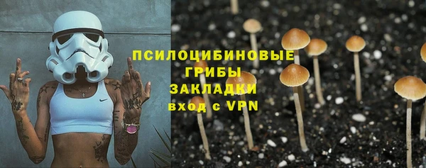 спиды Алексеевка