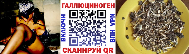 Галлюциногенные грибы GOLDEN TEACHER  мориарти какой сайт  Томари 